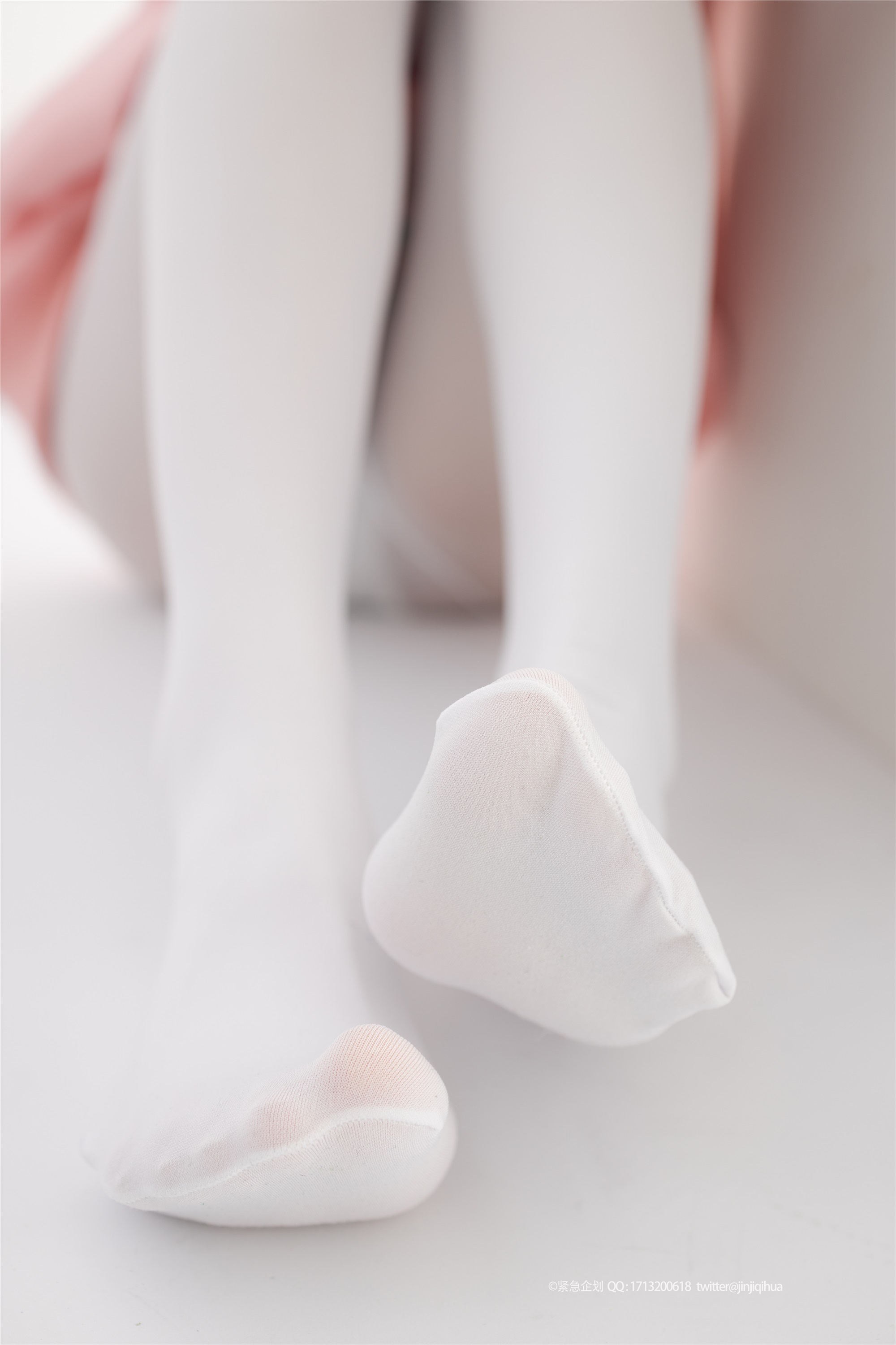 紧急企划  NO.012 一只喵喵梓